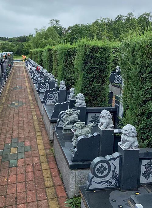 龙生碑型展示