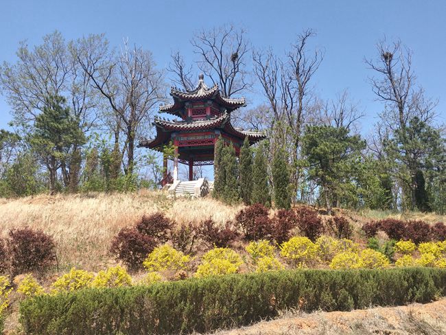 龙生墓园环境